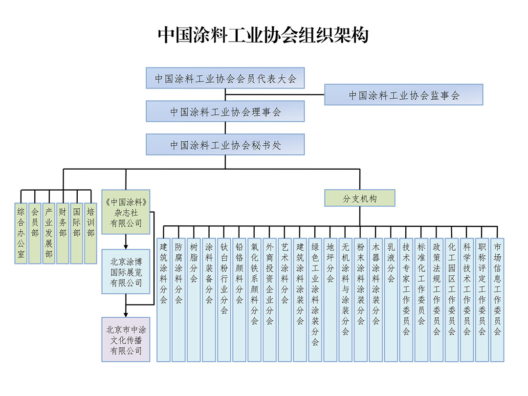 协会架构202408